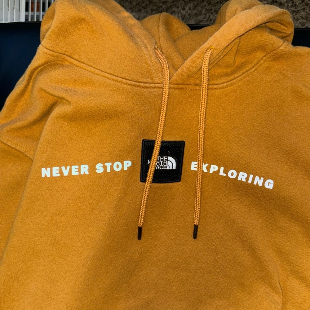 Burnt orange/ brown North Face Hoodie